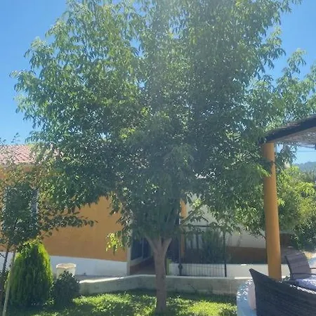 Casa Almenara Quinta do Anjo